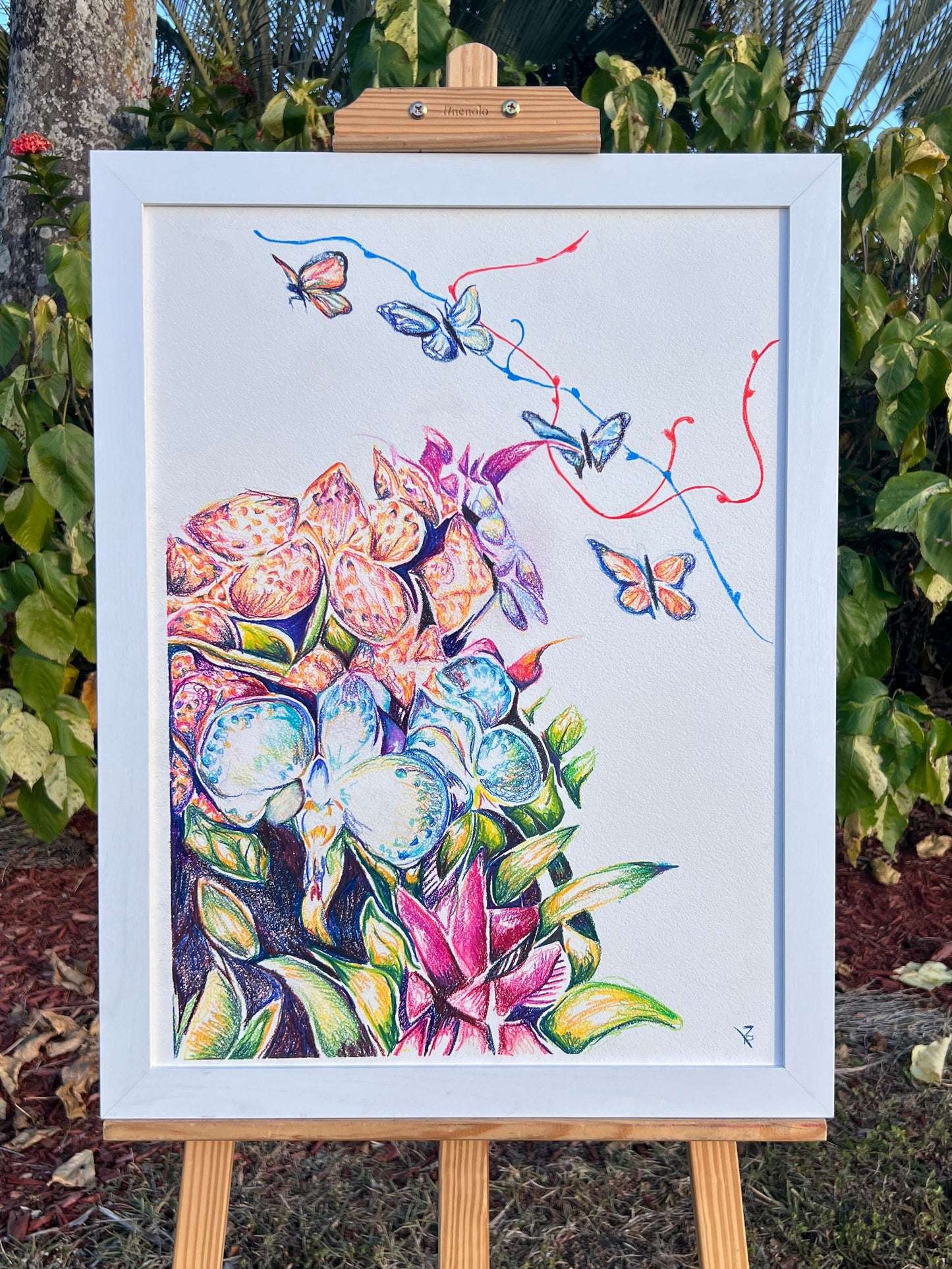 Butterfly World Original Artwork