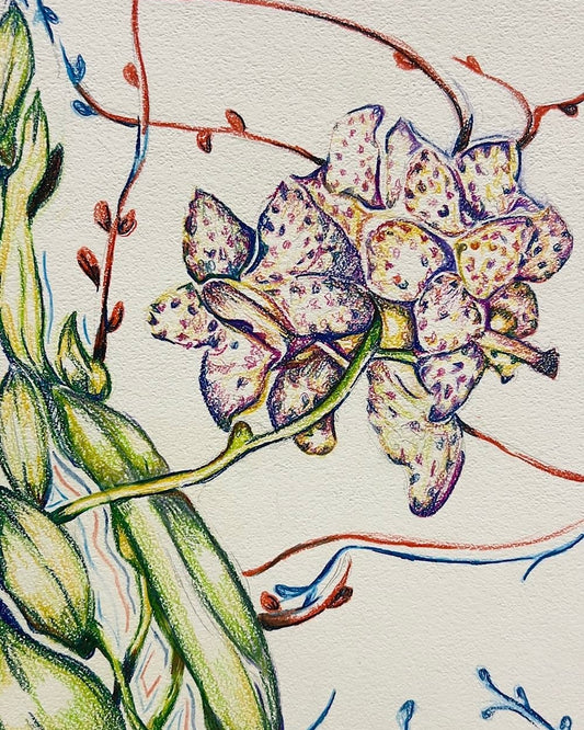 Hibiscus Flower