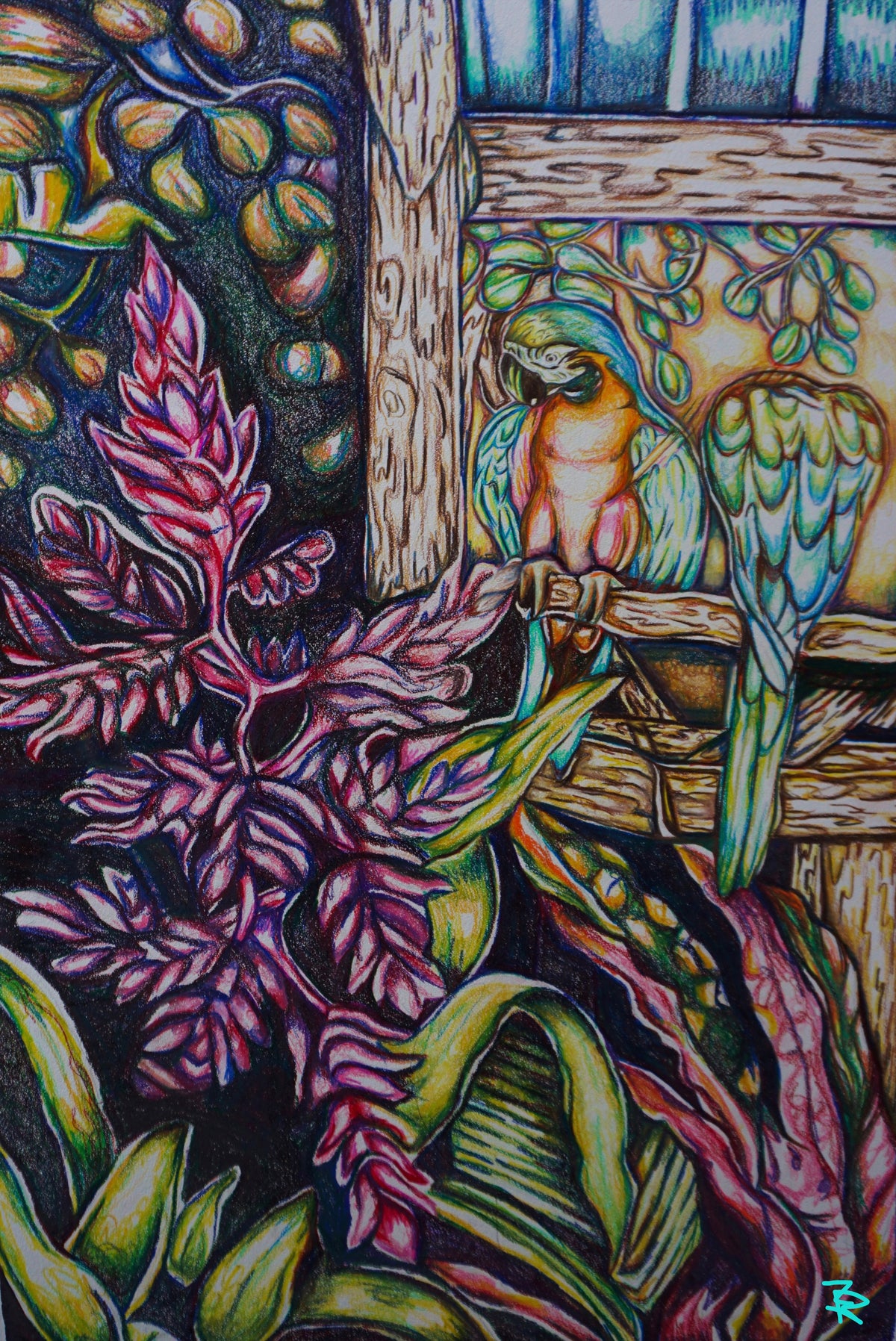 Jungle Island Original ￼