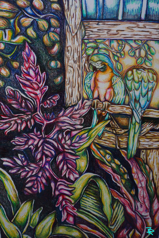 Jungle Island Original ￼