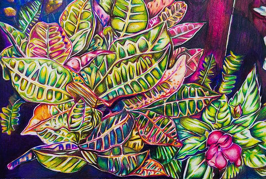 Croton Plant