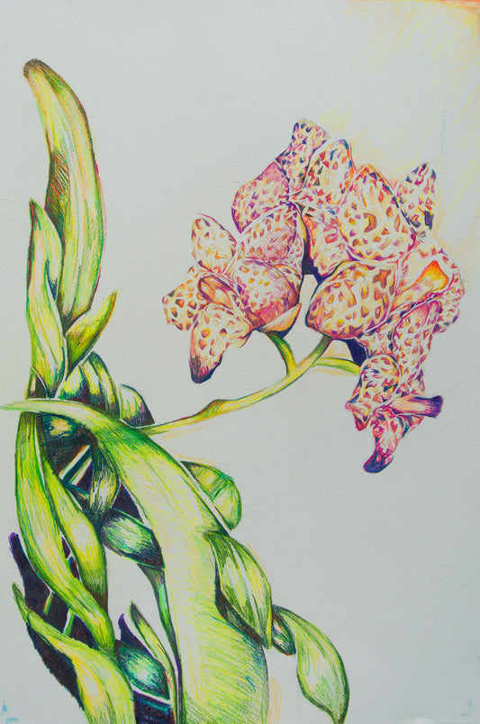 Summertime Fairchild Original Artwork